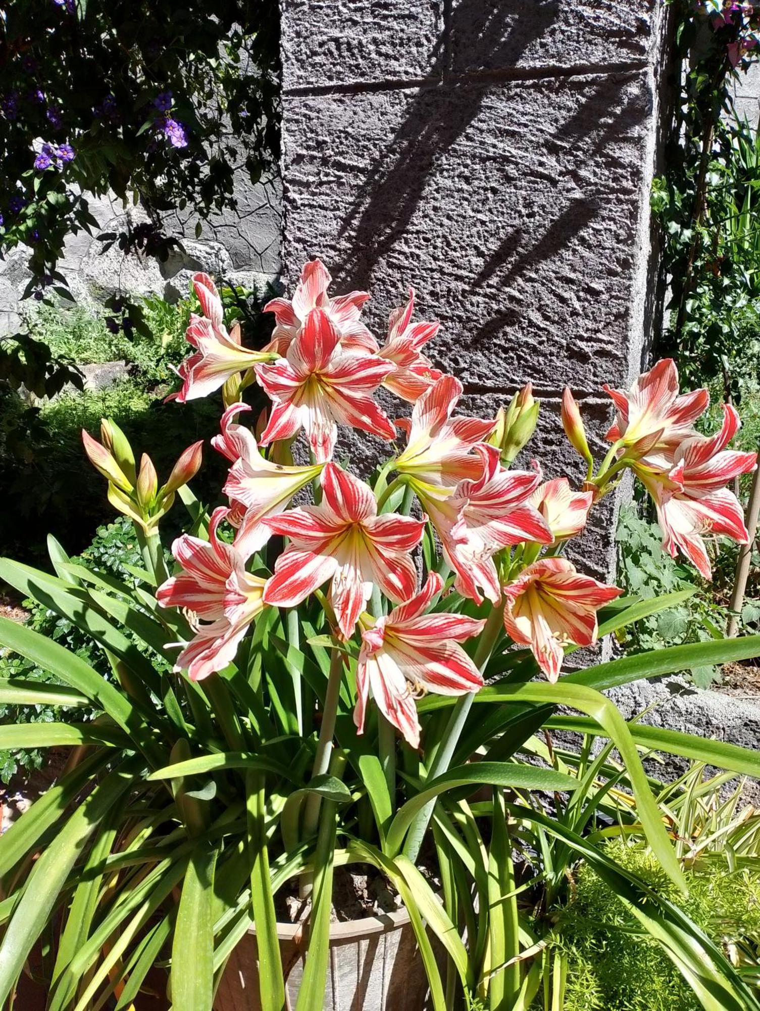 Holiday home Da Giulietta Adrano